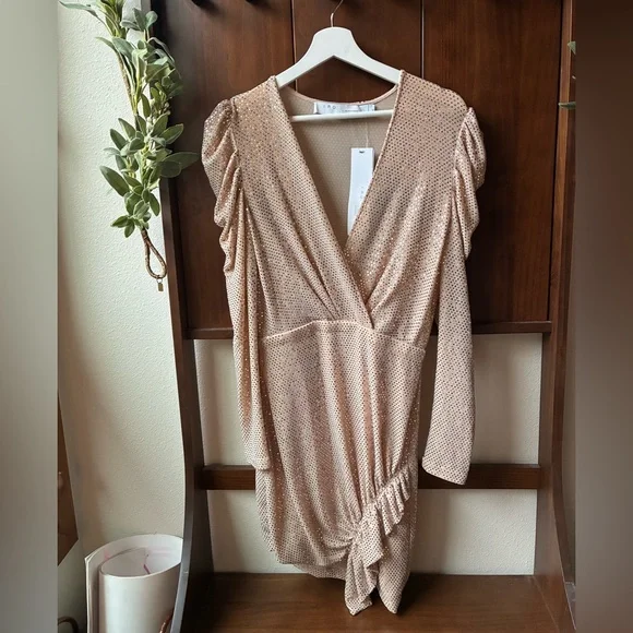 NWT IRO LouLou Sequin Dress in Blush Pink (Size:38/6) - Picture 5 of 15